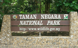 Công viên Taman Negara