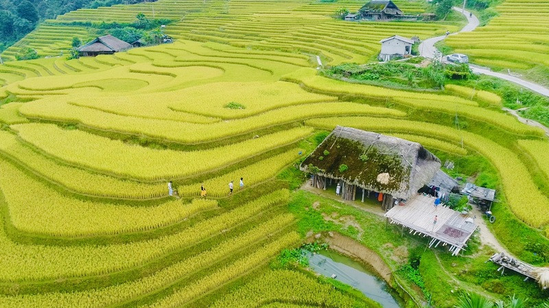 Sà Phìn có ruộng bậc thang tuyệt đẹp