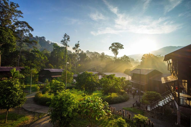 Thời tiết ở Taman Negara