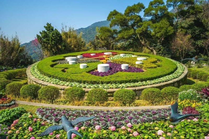 Vườn hoa rực rỡ tại công viên Dương Minh Sơn